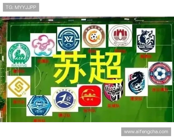 苏超威武！220 万人抢票中签率 1%，决赛比欧冠还难蹲